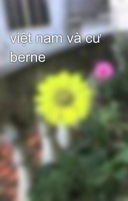 việt nam và cư berne