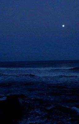vihends ✦ midsummer night