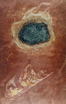 Viko | Hố thiên thạch