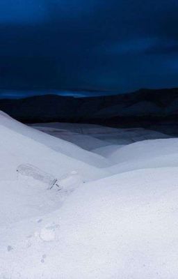 Viko | Ngày thần linh giáng thế