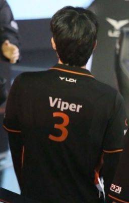 viper | chỉ là yêu