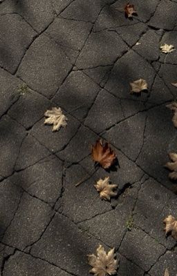[Vipeus] : For the rest of my life