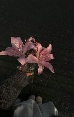 Vipeus | Quay lưng, chớp mắt