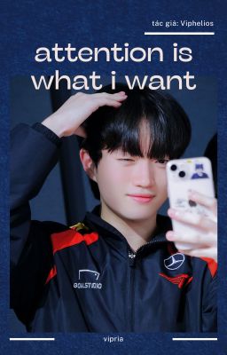 vipria ⸝⸝ attention is what i want