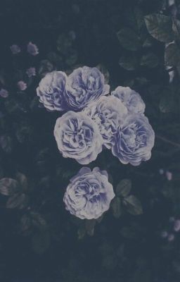 [VKook] When you come