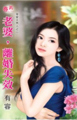 Vợ Li Hôn Mất Hiệu Lực