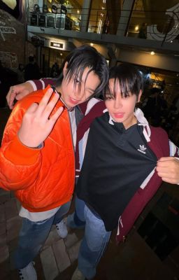 Voi lớn cá bé| Louyul