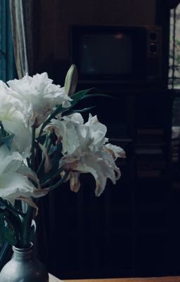 Vời vợi |DuongHieu|