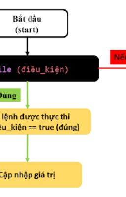 Vòng Lặp While trong Java | Cách Hoạt Động và Ví Dụ