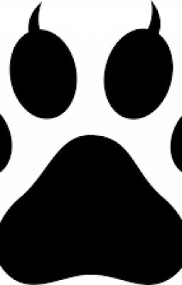 Warrior Cat Quiz!!!
