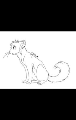Warrior cat roleplay(OPEN!)
