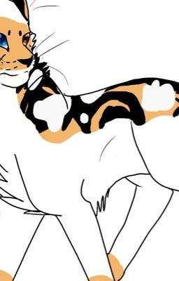 Warrior Cat Rp