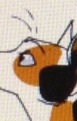 Warrior Cats Name Generator 