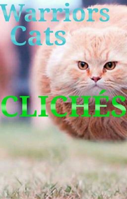 Warriors Cats Clichés
