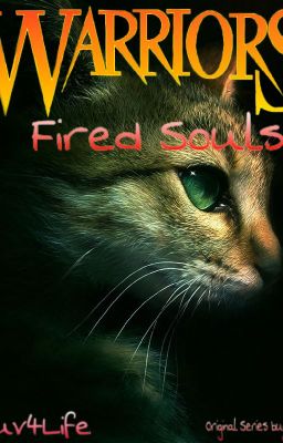 Warriors Fired Souls
