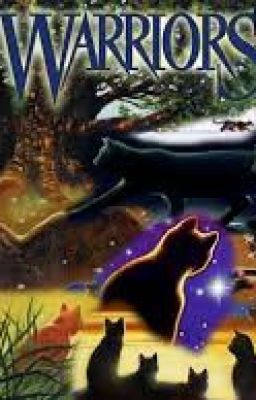 Warriors-Guess The Cat.