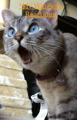 Warriors Reactions
