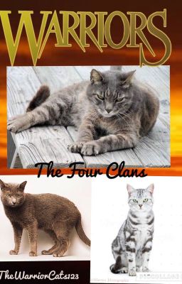 Warriors; The Four Clans