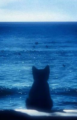 WilliamEst | Hoa Lưu Ly