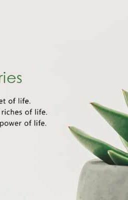 Wisdom eBook Series