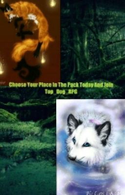 Wolf Packs