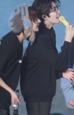 [wonhui] bản tình ca