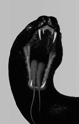 wonsoon | 독 - poison