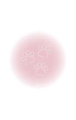 wonxin •'¯'• rumor