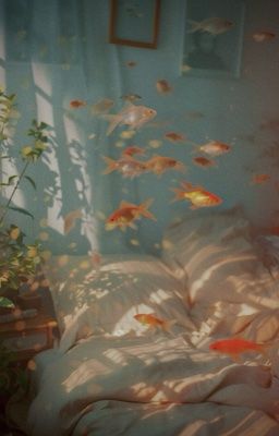 wooyuz | Đừng nhìn ai khác