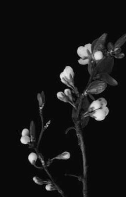 Writing for sadness.