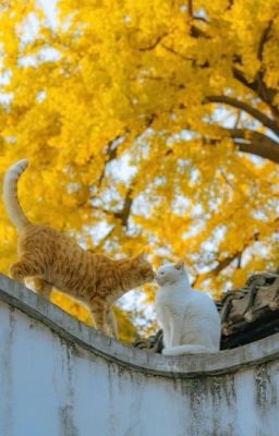 [written | wonhui] us