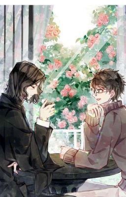 [X][HP/SH] Mưa To Đang Tới