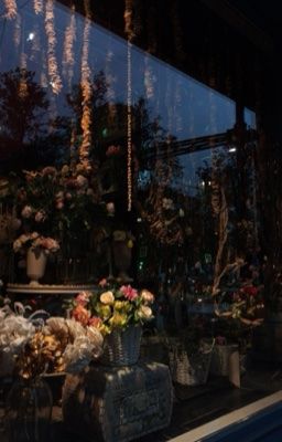 xbach x yn | oneshot