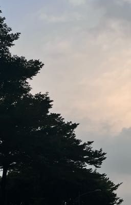 Xin đừng hết yêu em!