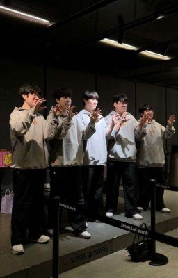 Xóm trọ heo cam 🍊