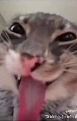 xuyên không làm phản diện, ta dùng cặc của mình đụ nát lồn cố toàn bộ mỹ nữ 