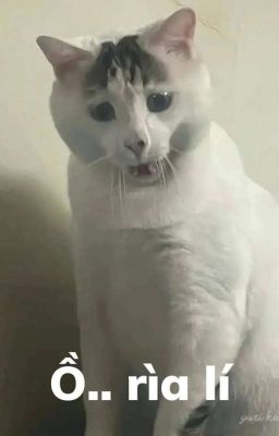 Xuyên Không Về Triều Lê (Vẫn) Làm Học Sinh