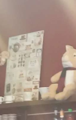 Xuyên sách sao? Tôi xuyên không vào tiểu thuyết của cháu gái