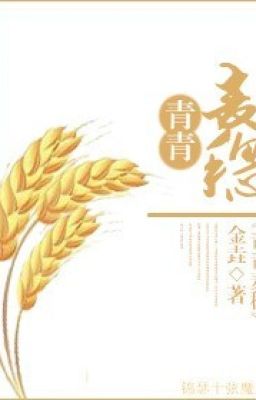 Xuyên việt chi Thanh Thanh bông lúa mạch