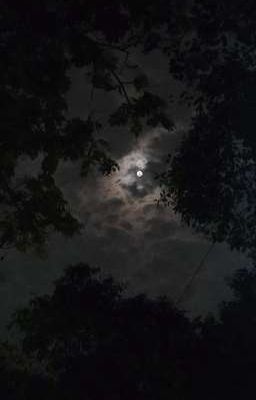 [⁰¹⁰⁷] Yêu sai cách_