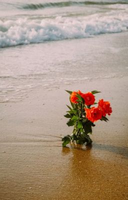 YÊU THẦM MỘT ÁNH NHÌN