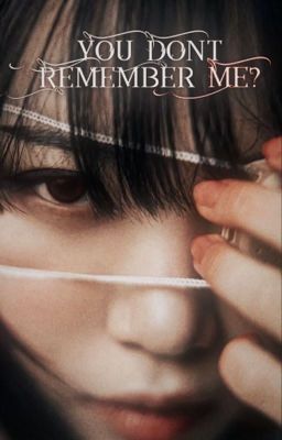 You don't remember me? | Newt
