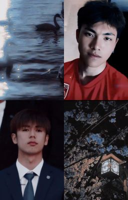 [YuLi] Hoa Mận Chưa Nở