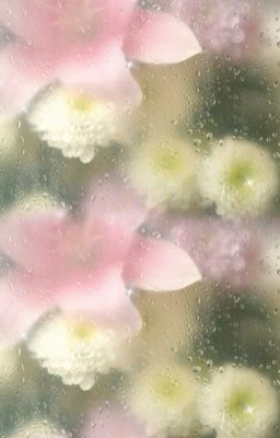 yutdaeng | tình đơn phương (transfic)