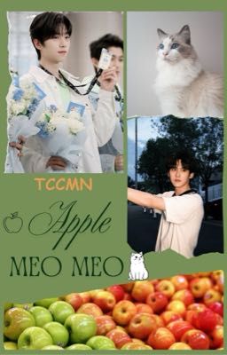 YZL Textfic| Apple Meo Meo