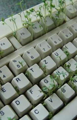 [Zekayusi] Hidden Place