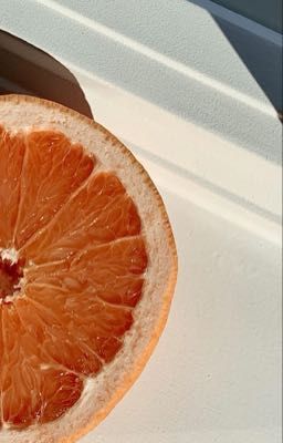 [Zekayusi] Số nhà 798