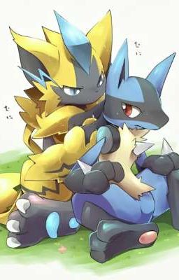 Zeraora x Lucario