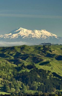 _ zeus x rascal _ ngon chít tui gòi