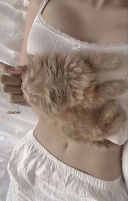 | Zeuvi | Park Dohyeon Cấm Tôi Ăn Kẹo